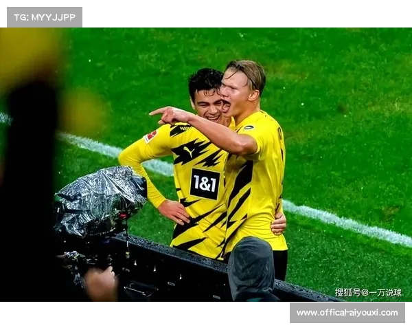 德甲欧冠资格竞争白热化,霍芬海姆少赛一场排第三 德甲欧冠资格竞争白热化,霍芬海姆少赛一场排第三